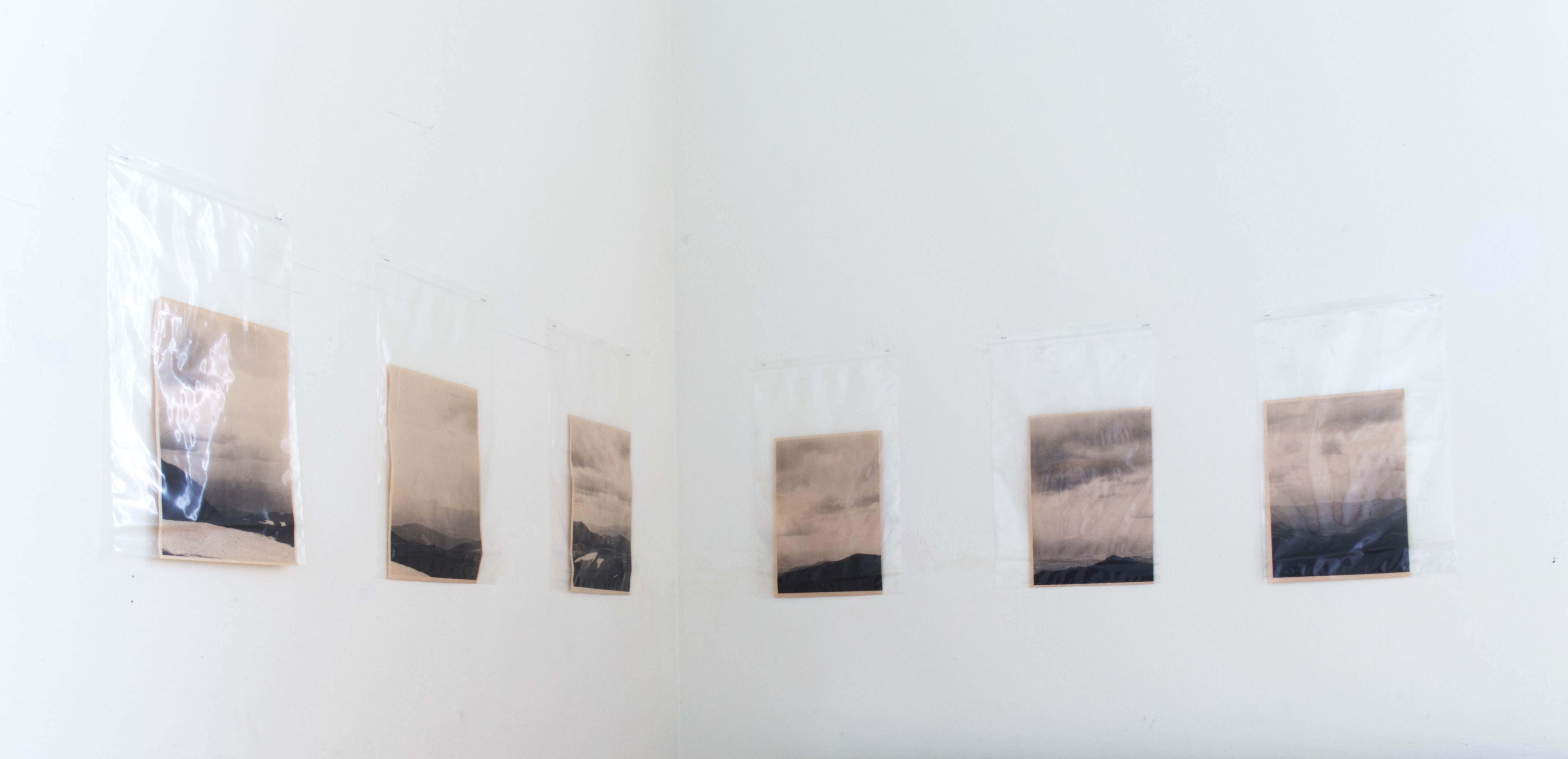 Schrecklich by nature project image4